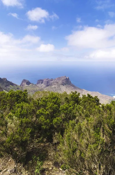 Utsikt Från Utsiktsplatsen Mirador Alojera Nationalparken Garajonay Gomera Kanarieöarna Spanien — Stockfoto
