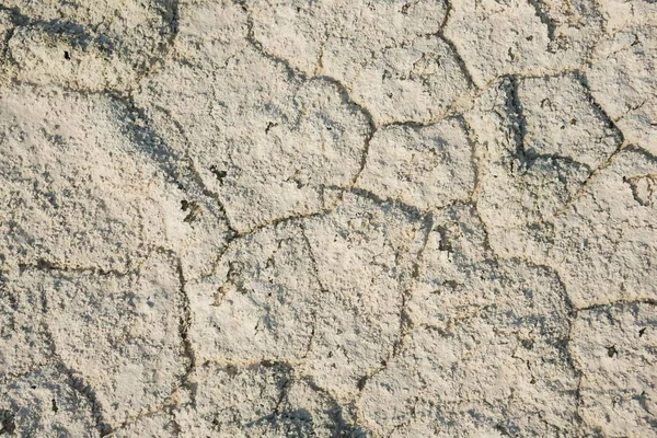 Övre Torkad Mark Textur Bakgrund — Stockfoto