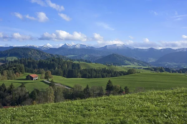 Casa Rural Campo Allgu Alpes Parte Posterior Allgu Baviera Alemania — Foto de Stock