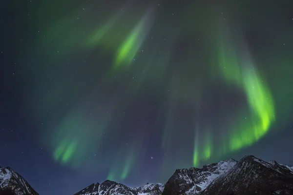 Vista Panoramica Luci Polari Aurora Borealis Gimsy Lofoten Norvegia Europa — Foto Stock