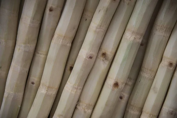 Skalade Bamboo Stammar Marknad Xian Shaanxi Provinsen Kina Asien — Stockfoto