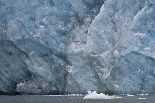 Vue Panoramique Sur Glace Bord Glacier Glacier Waggonway Magdalenefjorden Spitsbergen — Photo