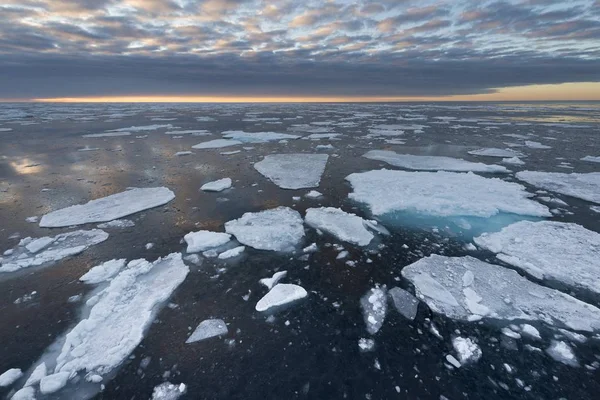 Vista Panorámica Témpanos Hielo Borde Del Paquete Hielo Océano Ártico —  Fotos de Stock