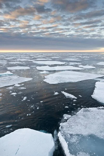 Scenic View Ice Floes Edge Pack Ice Arctic Ocean Spitsbergen — Stock Photo, Image