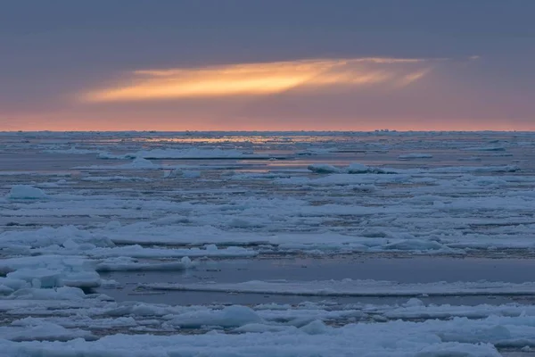 Vista Panorâmica Ice Floes Borda Bloco Gelo Oceano Ártico Spitsbergen — Fotografia de Stock