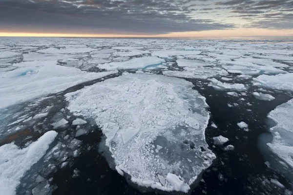 Vista Panorâmica Icebergs Gelo Pacote Humor Noite Oceano Ártico Spitsbergen — Fotografia de Stock