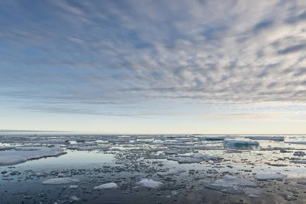 Malerischer Blick Auf Eisschollen Packeisrand Arktischer Ozean Spitzbergen Spitzbergen Spitzbergen — Stockfoto