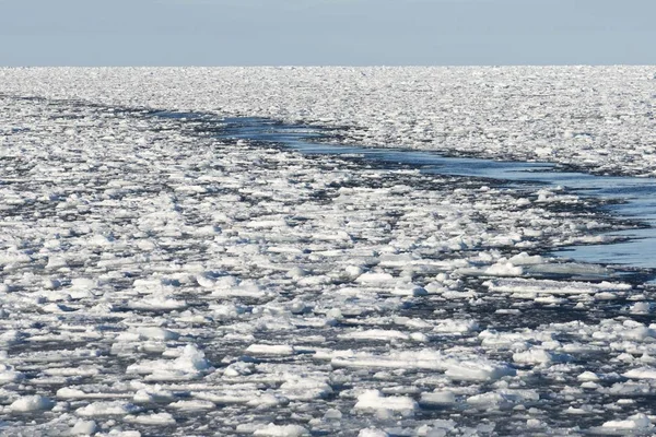 Vista Panorâmica Ice Floes Borda Bloco Gelo Oceano Ártico Spitsbergen — Fotografia de Stock