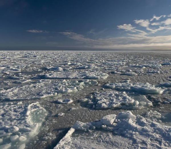 Malerischer Blick Auf Eisschollen Packeisrand Arktischer Ozean Spitzbergen Spitzbergen Spitzbergen — Stockfoto