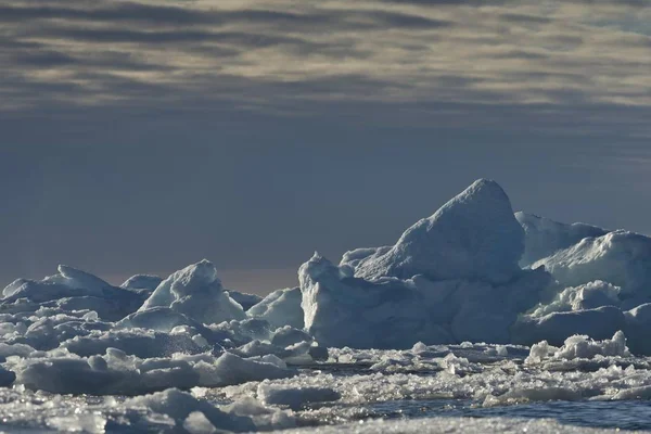 Vista Panoramica Banchi Ghiaccio Bordo Del Pack Ghiaccio Oceano Artico — Foto Stock