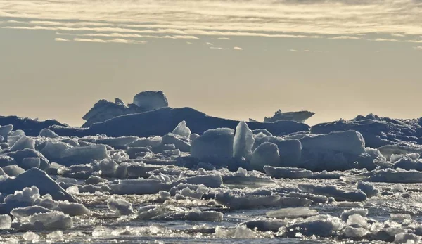 Malerischer Blick Auf Eisschollen Packeisrand Arktischer Ozean Spitzbergen Spitzbergen Spitzbergen — Stockfoto