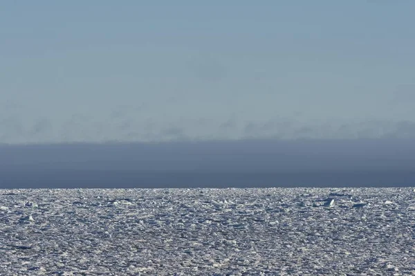 Vyhlídkový Pohled Icebergs Balíček Ledu Polární Oceán Špicberk Špicberky Svalbard — Stock fotografie