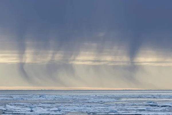 Malowniczy Widok Śnieżny Prysznic Ciemnych Chmur Krawędź Paczki Lodu Ocean — Zdjęcie stockowe