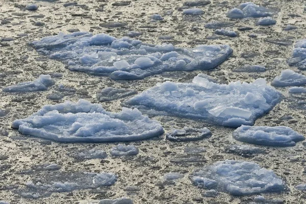 Små Isberg Edge Pack Ice — Stockfoto