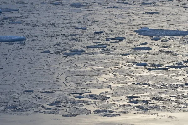 Pancake Buz Paket Buz Kenarı — Stok fotoğraf