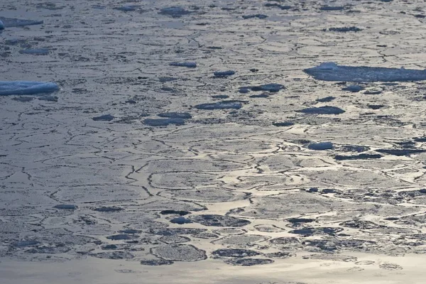 Pancake ice, edge of pack-ice