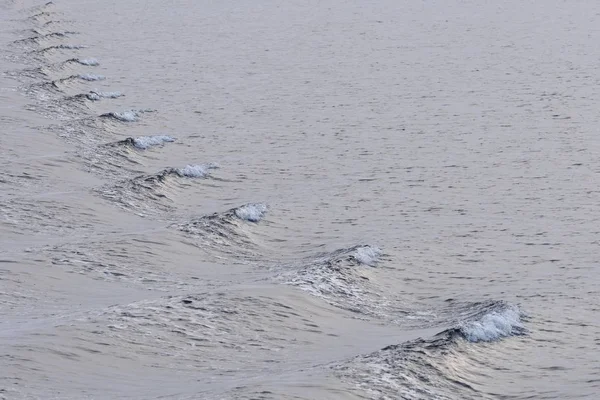 Pancake ice, edge of pack-ice