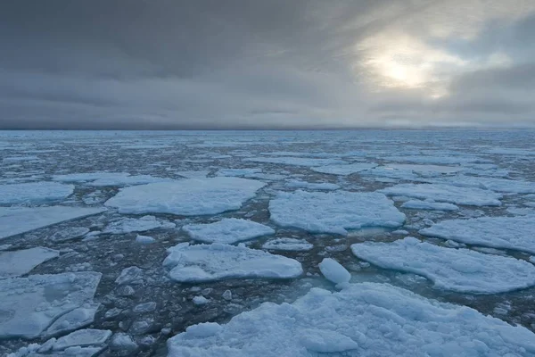 Scenic View Ice Floes Edge Pack Ice Arctic Ocean Spitsbergen — Stock Photo, Image