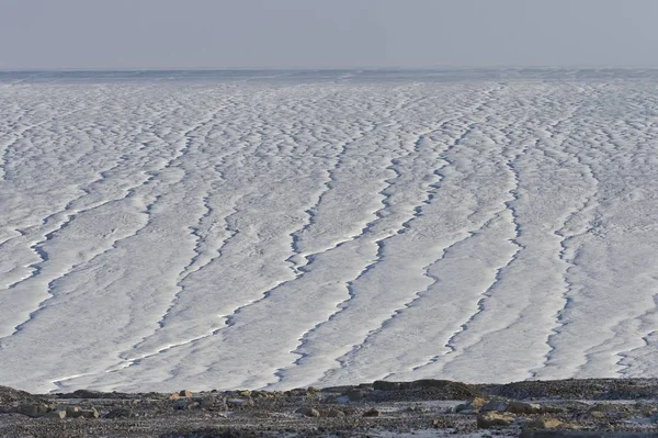 Γραφική Θέα Του Παγετώνα Kvitya Island Αρχιπέλαγος Σβάλμπαρντ Σβάλμπαρντ Και — Φωτογραφία Αρχείου