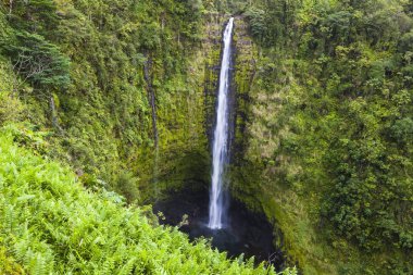 scenic view of Akaka Falls, Akaka Falls State Park, Big Island, Hawaii, United States, North America clipart
