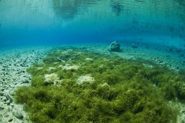 Vista Panorámica Submarina Lago Grner See Trampa Hochschwab Estiria Austria — Foto de Stock