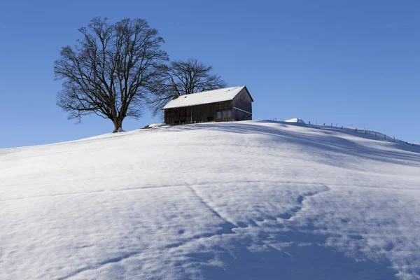 Naturskön Utsikt Över Appenzell Bondgård Snötäckt Kulle Vintern Urnsch Kantonen — Stockfoto
