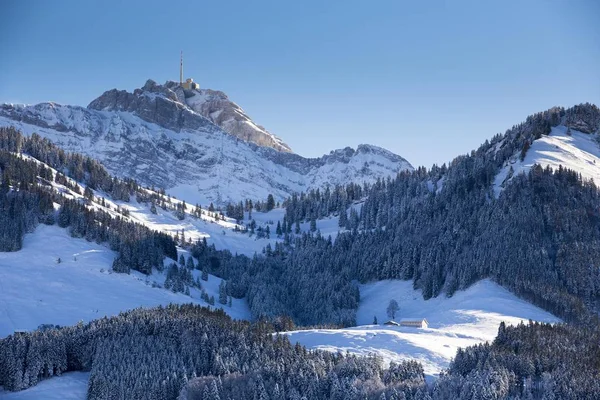 Naturskön Utsikt Över Ober Guggeien Alp Med Toppen Sntis 2502 — Stockfoto
