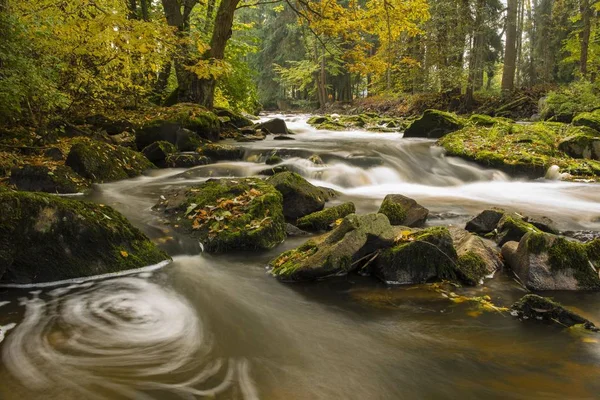 Naturskön Utsikt Över Höst Blockheide Natur Park Waldviertel Forest Quarter — Stockfoto