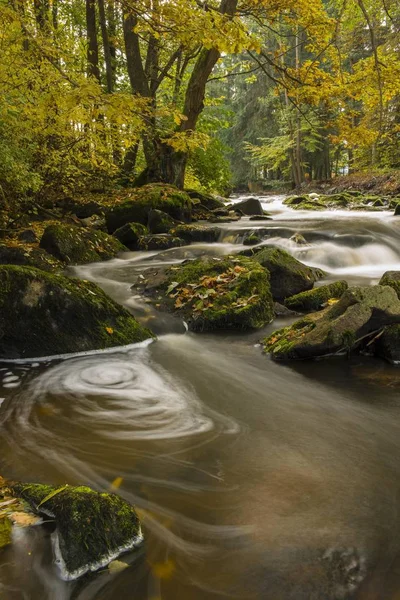 Naturskön Över Brook Höst Blockheide Gmnd Natur Park Malerwinkel Waldviertel — Stockfoto