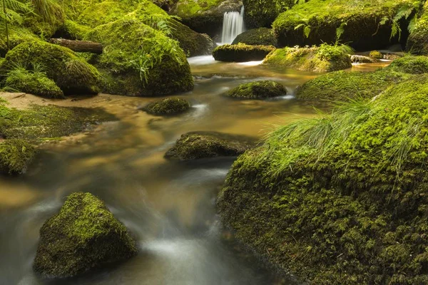 Naturskön Utsikt Över Lohnbachfall Vattenfall Lohn Pehendorf Schnbach Waldviertel Eller — Stockfoto