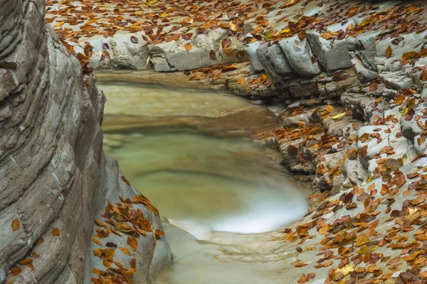 Naturskön Utsikt Över Hösten Tauglschlucht Gorge Tauglbach Tennengau Salzburg Österrike — Stockfoto