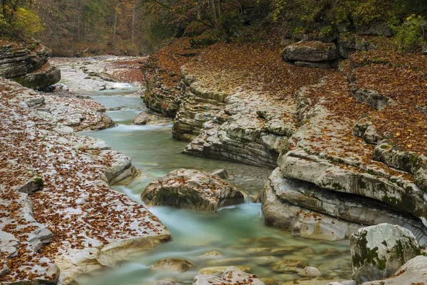 タウグルグリー自然保護区 タウグル テネンガウ ザルツブルク オーストリア ヨーロッパの秋の景色 — ストック写真