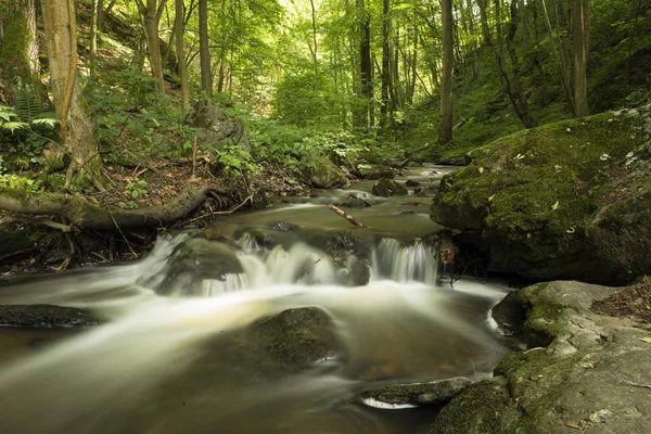 Vyhlídkový Pohled Potok Kajabach Národní Park Thaya Valley Dolní Rakousko — Stock fotografie