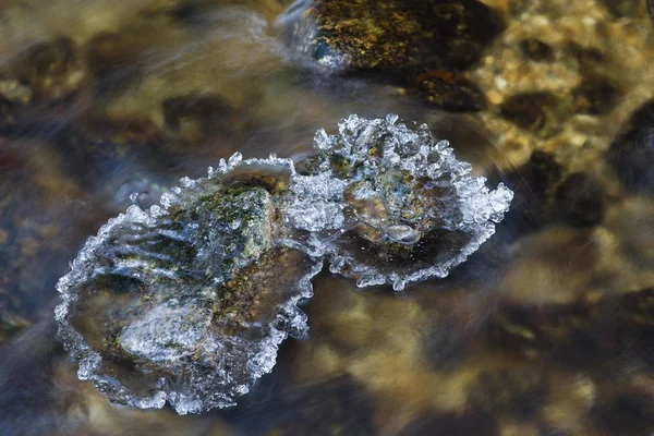 Hielo Garganta Ysperklamm Waldviertel Barrio Forestal Baja Austria Austria Europa —  Fotos de Stock