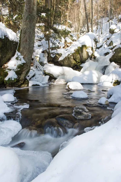 Inverno Ysperklamm Gorge Waldviertel Forest Quarter Baixa Áustria Áustria Europa — Fotografia de Stock