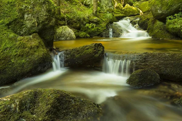 Bäck Igenom Ysperklamm Klyfta Ysper Waldviertel Eller Skog Inkvarterar Lägre — Stockfoto