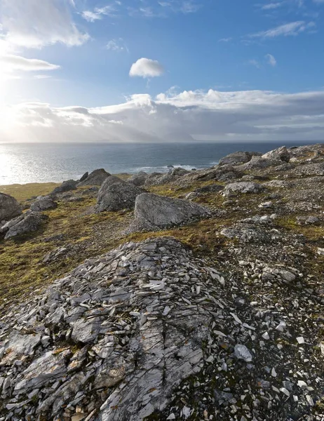 Naturskön Utsikt Sedd Från Alkhornet Mountain Trygghamna Bay Isfjorden Spitsbergen — Stockfoto