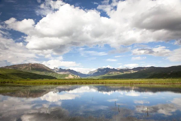 Vacker Utsikt Över Lilla Sjön Alaska Range Bergskedjan Alaska Förenta — Stockfoto