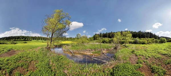 Slinga Morsbach Strömmer Orörd Natur Bayern Tyskland Europa — Stockfoto