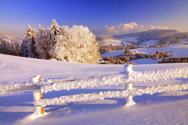 Schilderachtig Uitzicht Het Appenzell Winter Landschap Avondlicht Met Uitzicht Santis — Stockfoto