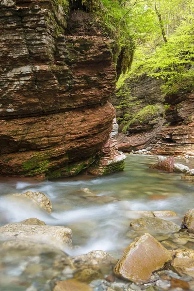 Horská Řeka Lese — Stock fotografie