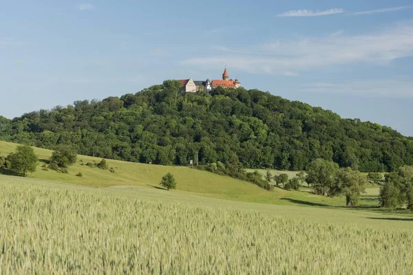 Veste Heldburg Deutsches Burgenmuseum 2015 Auf Bewaldetem Vulkankegel Burgenstraße Heldburg — Stockfoto