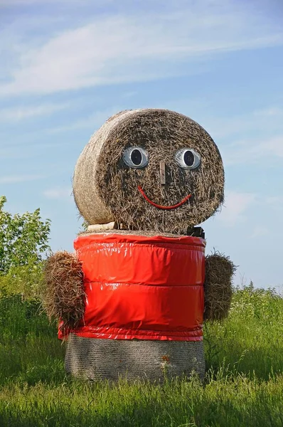 Oso Juguete Hierba — Foto de Stock