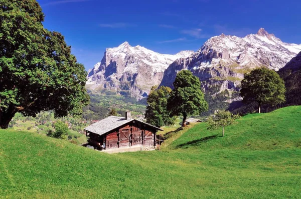 Αλπική Καλύβα Πάνω Από Grindelwald Όρος Wetterhorn Στο Πίσω Μέρος — Φωτογραφία Αρχείου