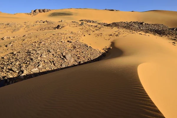 Scenic View Dunes Noires Sand Dunes Tadrart Plateau Tassili Ajjer — Stock Photo, Image