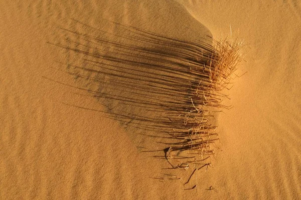 Schilderachtig Uitzicht Zand Rimpelingen Textuur Een Zandduin Tassili Ajjer Sahara — Stockfoto