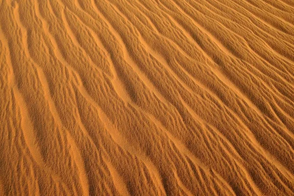 Vista Panorâmica Das Ondulações Areia Textura Uma Duna Areia Tassili — Fotografia de Stock