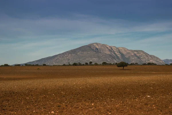 Vyhlídkový Pohled Little Karoo Polopoušť Západní Mys Jižní Afrika Afrika — Stock fotografie