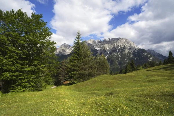 Vista Panorâmica Cordilheira Karwendel Prado Primavera Florido Frente Mittenwald Baviera — Fotografia de Stock
