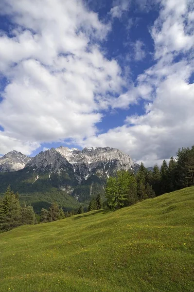 Vista Panorâmica Cordilheira Karwendel Prado Primavera Florido Frente Mittenwald Baviera — Fotografia de Stock